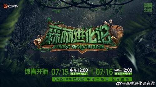 森林进化论