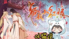 小红娘脱单攻略