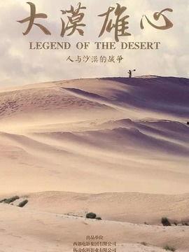 大漠雄心,探寻丝绸之路的辉煌与传奇